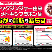 日本製井藤漢方製藥 NICEDOWN減少內臟脂肪皮下脂肪黑姜燃脂輔助劑 30日份