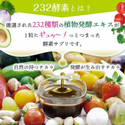 ISDG Diet 酵素丸 (加強燃脂配方) 120粒