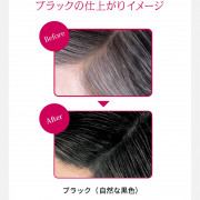 資生堂 Shiseido PRIOR 白髮專用 染髮潤髮乳 (自然黑) 230g