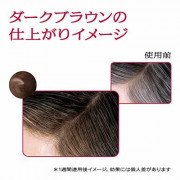 資生堂 Shiseido PRIOR 白髮專用 染髮潤髮乳 (深棕) 230g