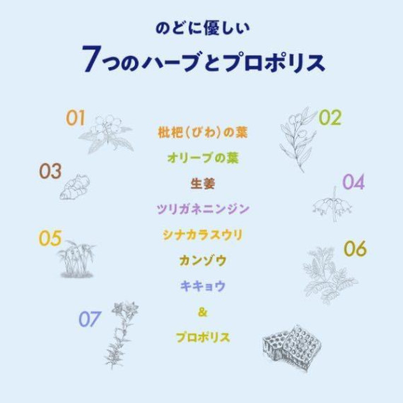日本製 KANRO HARB CANDY VOICE CARE 日本音樂大學共同研發 護聲潤喉糖 70g