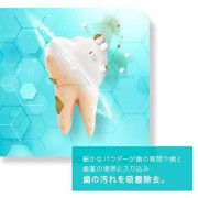 日本製 O-CLEAN AP-65高濃度天然成分刷牙粉 25g